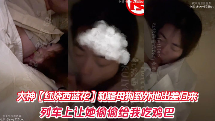 大神【红烧西蓝花】和骚母狗到外地出差归来