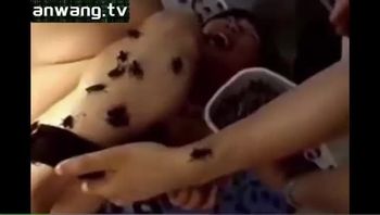 令人毛孔悚然的虫交虐待视频大量蛐蛐与面包虫