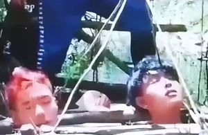 真实缅甸缅北园区诈骗者亲述男女都会被性侵关水牢放毒蛇被割器官视频