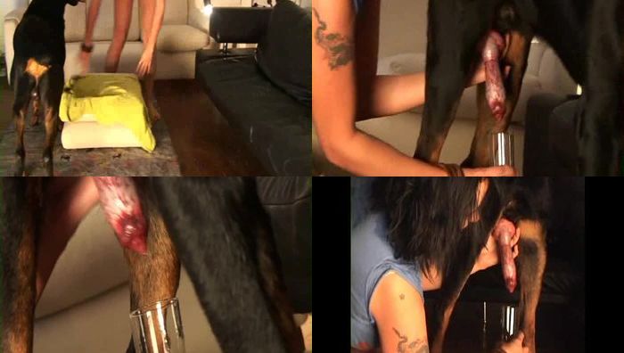 发骚的兽交寡妇者在客厅自慰骚穴色诱勾引大黑狗发情人兽肏B视频